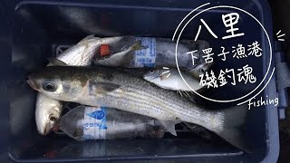 【磯釣】八里下罟子漁港｜復仇成功｜本島不打龜｜2022/03/09