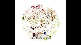 Galactic Unity Ensemble - We Have Always Been Here (2017)