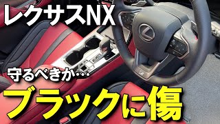 【問題発生】どう思いますか？レクサスNX納車3ヶ月目に気付いた問題3つ