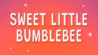 Download Bambee - Sweet little bumblebee (Bumble Bee) (Sped Up) (Lyrics) mp3