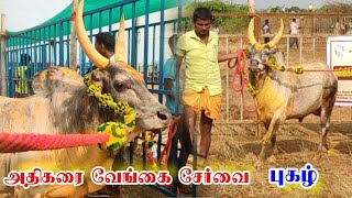 அதிகரை வேங்கை சேர்வை புகழ்