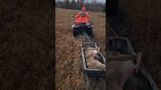 manitoulin monster #savage  #243 #223 #deerhunting #rifle #deerseason2023