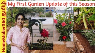 எங்க  வீட்டுத்தோட்டம் பார்க்கலாம் வாங்க  | My Garden Update 2023 | Part1