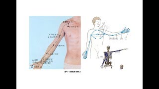 대흉근 풀기 2편 - 어깨와 가슴이 답답하고 숨이 안 쉬어질 때/대흉근통증/근육근막마사지법+혈자리지압법+요가자세