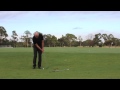 chipping with a wood