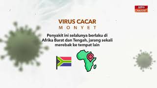 [INFOGRAFIK] Virus Cacar Monyet