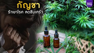 กัญชา.. รักษาโรค ลดซึมเศร้า | สุขภาพน่ารู้