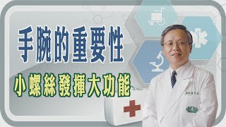 手腕的重要性 小螺絲發揮大功能【大愛醫生館精選】