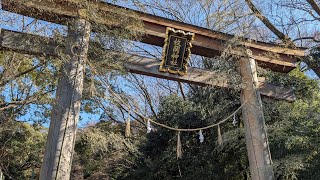 東大阪市の河内国一之宮、枚岡神社へご案内✨駅近くにある元春日平岡大社の立派な石看板✨御祭神は天児屋根命✨#枚岡神社 #一之宮 #神社巡り #神社好き #癒し #癒し動画 #歴史ロマン #天児屋根命