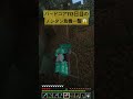 装備に落下耐性ついててエンチャントの大切さを学んだ☝️🤓 マインクラフト マイクラ minecraft 参加型 統合版