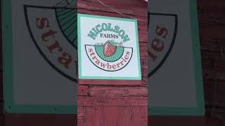 This is a hidden gem in Rancho Cucamonga! #supportlocal #ranchocucamonga