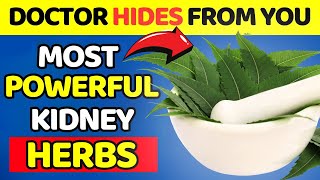 The #1 Most Powerful KIDNEY HERB and LOWER CREATININE LEVEL - Doctor Hides from You!