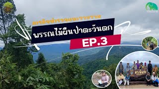 ภารกิจสำรวจและรวบรวมพรรณพืชผืนป่าตะวันตก EP.3 อุทยานแห่งชาติแก่งกระจาน