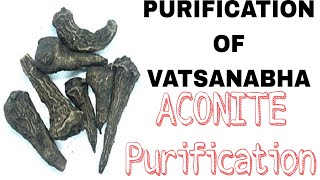 PURIFICATION OF VATSANABHA PURIFICATION OF ACONITE. ACONITE POISONOUS EFFECT REMOVAL #ayurveda