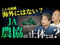 【農協(JA)】もはや農家の敵？JAが日本の農業を停滞させる理由　#佐藤尊徳 #井川意高 #政経電論