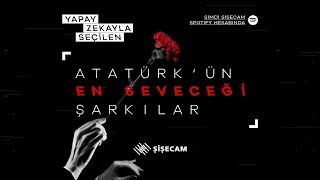 Şişecam | \