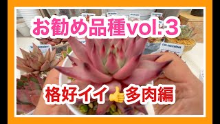 お勧め品種vol.3 格好イイ多肉編！爪！赤！デカ！