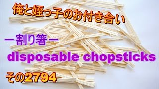 俺と姪っ子のお付き合い－割り箸－その2794 disposable chopsticks