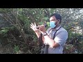 introduction to bird watching part 8 field class part 1