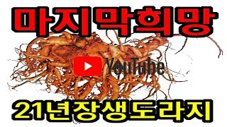 이성호 장생도라지 하루에 한 포 시리즈 27