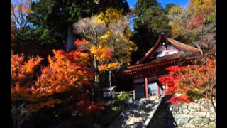 大和路の秋　談山神社.mpg