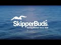 1985 bayliner 3270 explorer boat tour skipperbud s