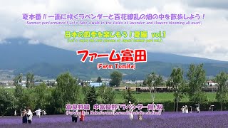 4K Farm Tomita Furano Line Nakafurano (Lavenderbatake) Station Lavender and hundreds of flowers!