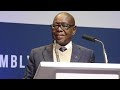 prof. blade nzimande delivered the opening address at iauga2024