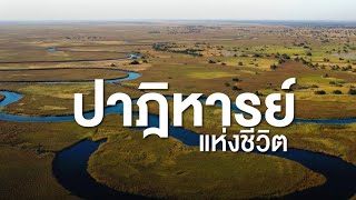 สารคดี สำรวจโลก ตอน ปาฎิหาร์ยแห่งชีวิต