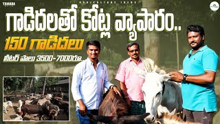 Donkey Farm Business | Donkey Farming In Telugu | Donkey Milk Cost  @ShivaAgriClinic