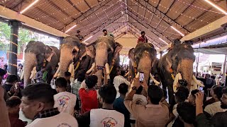 Thrikkunnapuzha sree dharma sastha temple Ulsavam 2023 entry of elephants  #elephant #festival #god