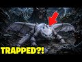 The Hidden World Was SECRETLY A Prison?! 😨 10 HTTYD Secrets You Missed 🐉👀