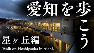 愛知を歩こう　星ヶ丘編　Walk on Hoshigaoka in Aichi.