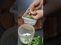 spiced buttermilk chaas chaas buttermilk asmrcooking asmreating asmrfood asmrvideo