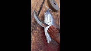 MACKEREL TUNA FISH  CUTTING SKILL | Expert Cutting  Fish Cutting  | Tuna Fish Cutting shorts