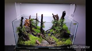 Aquascaping .My iaplc 2018