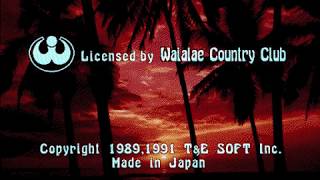 STAFF/CREDITS ROLL [PC-98] New 3D Golf Simulation: Waialae no Kiseki (1991, T\u0026E SOFT)