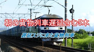 JR貨物 2021/07/30 上り遅延スジに踏切が鳴った!!正体は? 朝の貨物列車遅延含む5本 大谷川踏切