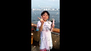 2024年10月25日（金）あわかんでお魚釣りましたー♪IN淡路島