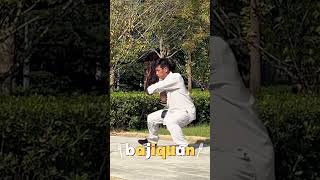 Bajiquan training, the most combative Chinese martial art #kungfu #bajiquan