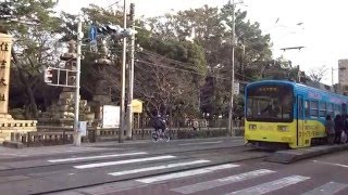 阪堺電気軌道　阪堺線　住吉鳥居前と住吉神社です。