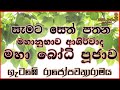 මහානුභාව ආශිර්වාද බෝධි පූජාව | ගැටඹේ රාජෝපවනාරාමය | Bodhi Poojawa | Gatambe Temple