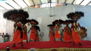 Gussadi nutryam #gussadi #dance #tribalsong #trending #culture