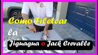 Cómo filetear rápidamente Jack Crevalle