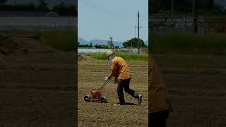 大和大鉄砲の播種体験