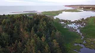 Meg's Cove, Cape John Drone Footage