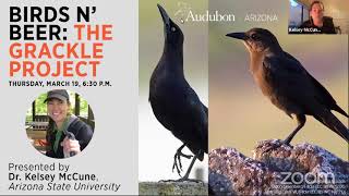 The Grackle Project