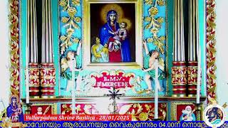 28 JANUARY 2025 - 06.30AM  ||  LIVE HOLY MASS - വിശുദ്ധ കുർബാന - VALLARPADAM SHRINE BASILICA