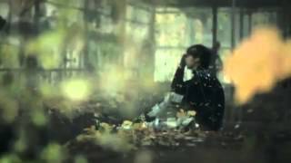 B1A4 in the wind (full teaser)