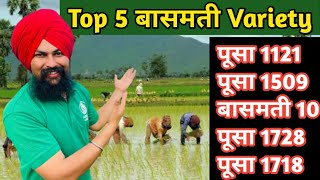 बासमती धान की टॉप 5 किस्में| Basmati Top variety in india in Hindi